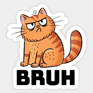 BRUH Cranky Cat funny meme design Sticker